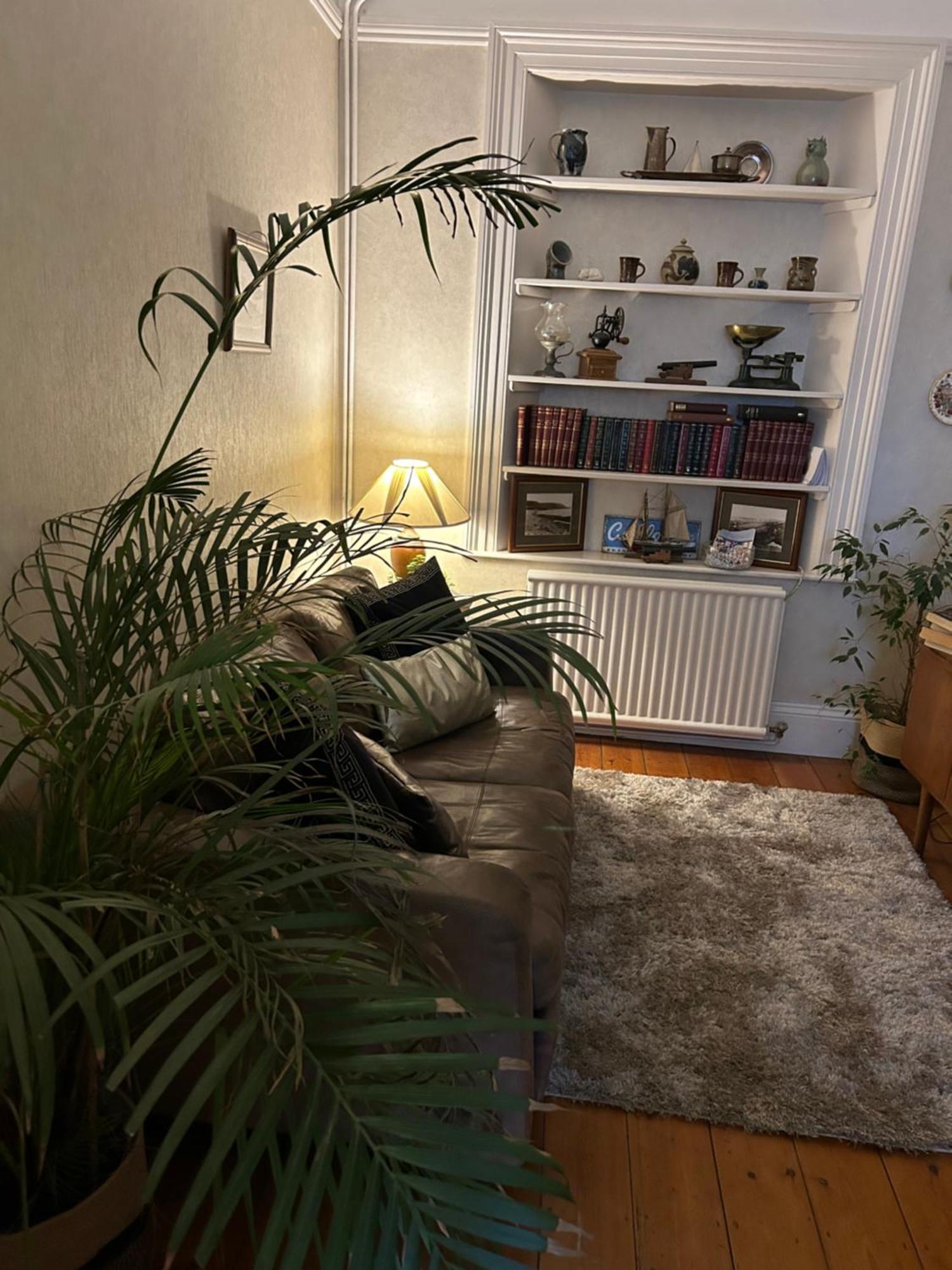 Bonjour Guest House Braye Εξωτερικό φωτογραφία